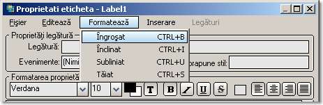 UNICODE Controls and Classes for Visual Basic 6, UNICODE Controls, OwnerDrawn Controls, OwnerDrawn Menu, Custom Controls, Icon Menu